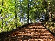 Madonna delle Cime sul Corno Zuccone da Reggetto di Vedeseta-11ott24- FOTOGALLERY